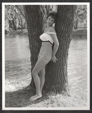 Lqqk 8x10 Vintage 1960s,  Magnificent Swimsuit Lovely Straps Down 69