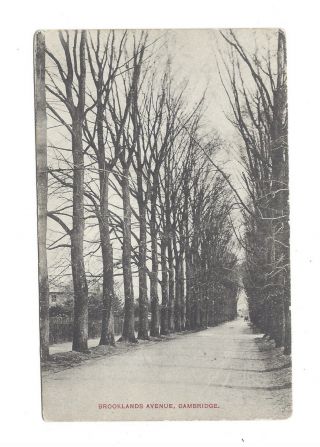 Vintage Postcard Brooklands Avenue,  Cambridge.  Message Written In Code - 1904