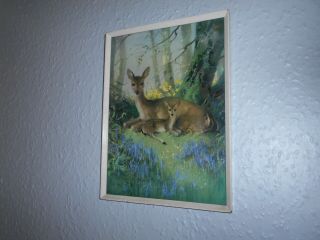 Vintage / Retro - Vernon Ward Print - Bambi / Deer