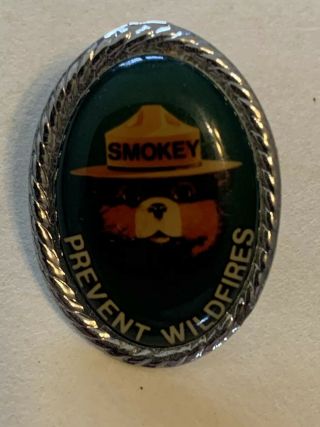 Vintage Smokey The Bear Prevent Wildfires Lapel Pin Button US Forest Service 2
