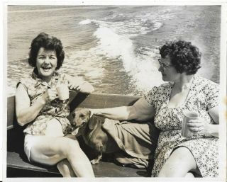 Vintage Photo Women On Boat With ? Dachsund Dog Covered By Blanket 8 X 10 Photo