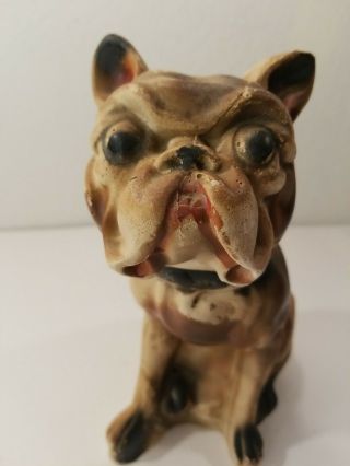 Vintage Bulldog Boxer Dog Chalkware Statue Carnival Prize