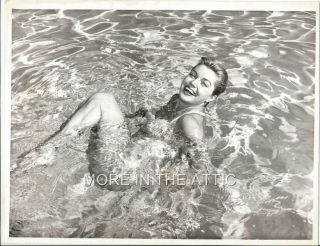 Young Sexy Esther Williams Vintage Hollywood Portrait Still 2