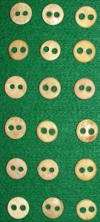 Group Of 18 Vintage Bone Bovine Buttons Large 2 Hole Sew Thrus Fish Eyes Euc