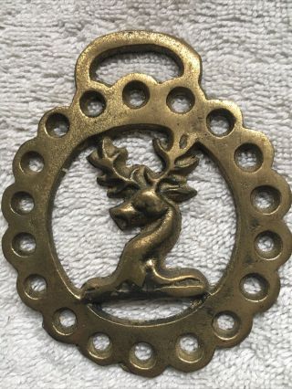 Vintage Horse Brass Medallion