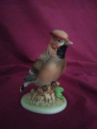Vintage Lefton China Hand Painted Waxwing Bird Figurine Kw 6609