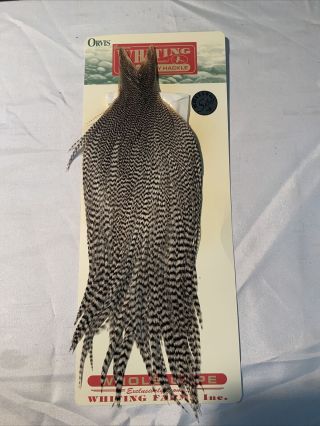 Vintage Whiting Farms Orvis Rooster Cape Feathers Fly Tying