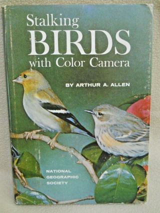 Vintage 1961 Stalking Birds With Color Camera / Arthur Allen/national Geographic