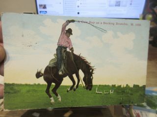 Vintage Old Nebraska Postcard Chadron Cowboy Bucking Bronco Wild Horse Stallion