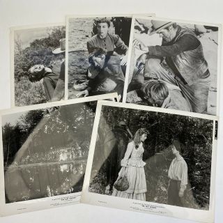 Vintage Photos Movie Still The Last Wagon 1956 Richard Widmark,  Stephanie Griffin
