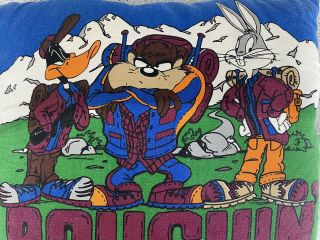 Vintage 90s Looney Tunes Pillow Bugs Bunny Taz Daffy Duck Warner Bro 18” Cushion 3