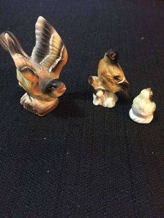 Vintage Porcelain Ceramic Oriole Bird On Branch Figurine Set Bird Family