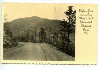 Skyline Drive - Shenandoah National Park - Virginia - Vintage Rppc Real Photo Postcard