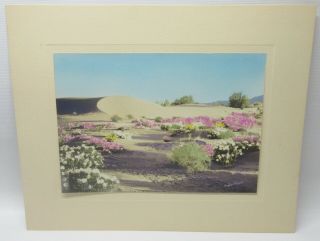 Vintage Stephen Willard Hand Colored Photo Of California Desert Scene 8 " X 10 "