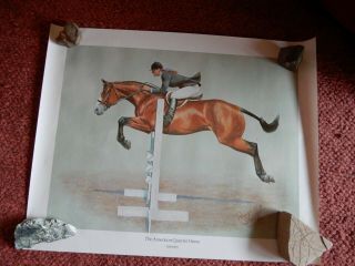 Quarter Horse Fine Art Prints And Posters,  Set Of 7 Vintage