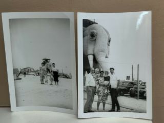 4 Vintage Photos Of Family Posing In Front Of Lucy The Elephant,  Margate N.  J.