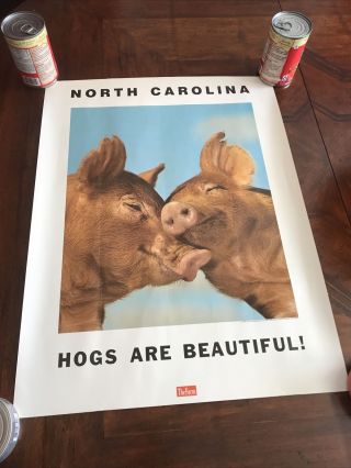 1969 North Carolina Hogs Are Poster Nc Pigs Art