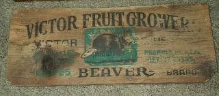 Vtg Beaver Flame Tokay Grapes Wood Fruit Crate Label Victor California
