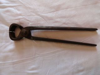 Vintage Forged 10 " Farriers Horse Hoof Trimmers Nippers/cutters - No Name Marks
