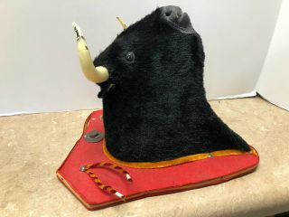 Vintage Miniature Bull Head Mounted On Wood Spanish " Taxidermy " Trophy