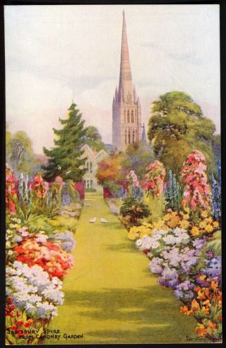 Salisbury Spire From Canonry Garden.  Vintage Art Postcard By Dorothy Brown