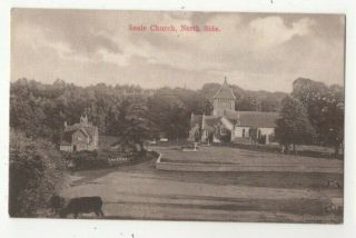Seale Church North Side Surrey 1916 Vintage Postcard H Dodd 333c
