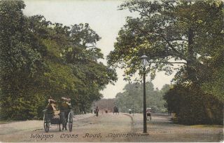 Essex Leytonstone Whipps Cross Road Vintage Postcard 25.  1