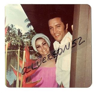Elvis Presley Vintage Candid Photograph - Coco Palms Hotel,  Hi - May 28,  1968