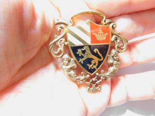 Signed Lg Lind Gal Cherub Enamel Lion Crown Shield Coat Of Arms Brooch Vintage