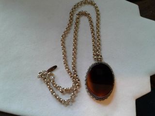 Vintage Whiting And Davis Tortise Shell Color Necklace
