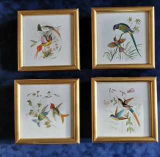 Set Of 4 X Ceramic Tiles Framed Wall Art - Exotic Birds.  Colourful.  Gold Frame