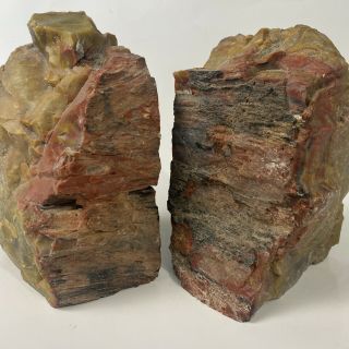 Petrified Wood Bookends Two Sides Polished Red Brown Natural Fossil Vintage Mr