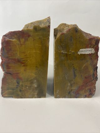 Petrified Wood Bookends Two Sides Polished Red Brown Natural Fossil Vintage MR 3
