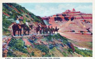 On Kaibab Trail Grand Canyon National Park Arizona Linen Vintage Postcard