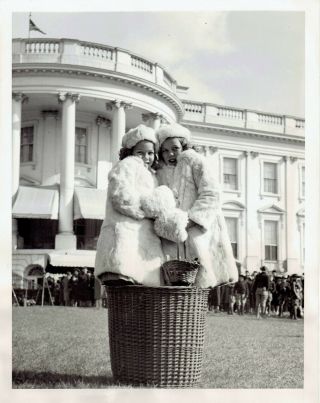 1940 Vintage Photo Twin Girls Pose In Basket At White House Easter Egg Hunt
