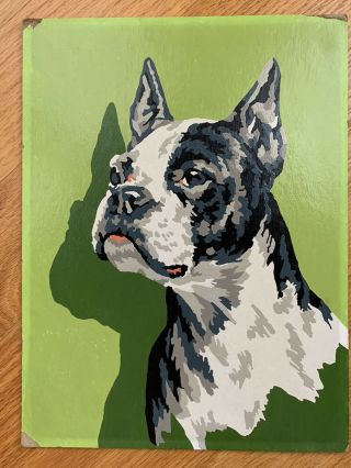 Vintage Paint By Number Boston Terrier Dog Portrait