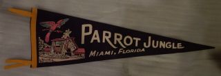 Parrot Jungle Miami,  Florida Fl Fla Pennant Or Banner Circa 1955