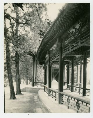 Vintage Photograph 1940 China Peking Summer Palace Colonnade Large Photo Beijing