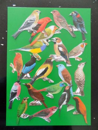 Vintage Bird Ephemera Pack Scrapbooking Supply Colorful Bird Paper Decor