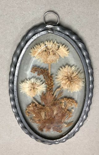 Vintage Pewter Pressed Dried Flowers In Glass Frame - Window Art 3 1/2 By 5 1 - 2”