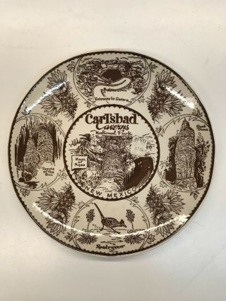 Vintage Souvenir Plate - Carlsbad Caverns - - Enco Nat 
