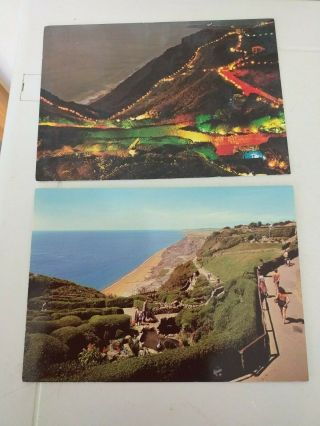 Vintage.  Collectable.  Postcards.  Isle Of Wight.  Blackgang Chine.  Illuminations