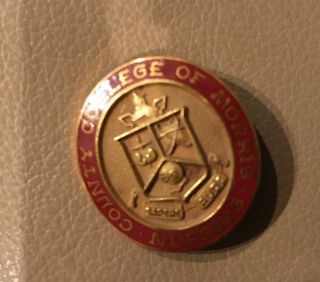 Vtg 10k Gold Nursing Pin,  Community College Of Morris 1977