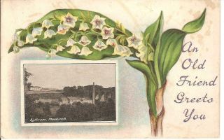 Markinch,  Sythrum,  Vintage Card