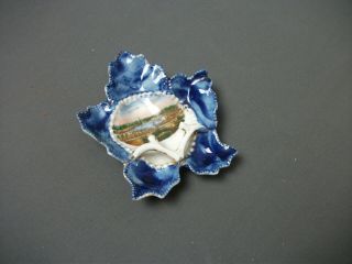 Vintage Flow Blue Bordered Porcelain Leaf Dish - Souvenir Chester Park Ohio 176