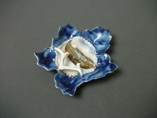 Vintage Flow Blue Bordered Porcelain Leaf Dish - Souvenir Chester Park Ohio 176 2