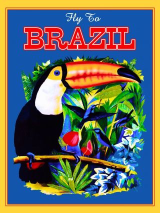 Fly To Brazil Toucan South America American Vintage Travel Advertisement Poster