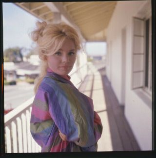 Tuesday Weld Rare In Colorful Outfit Vintage 2.  25 X 2.  25 Transparency