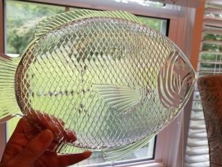 Vtg 11 " Large Clear Glass Fish Plate/platter Oven Proof Made In Usa