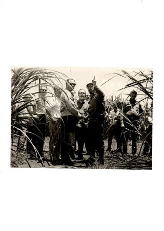 1960 Revolution Leader Fidel Castro & Cuban Sugarcane Korda Vintage Image Cuba Y